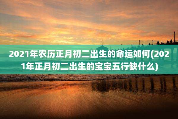 2021年农历正月初二出生的命运如何(2021年正月初二出生的宝宝五行缺什么)
