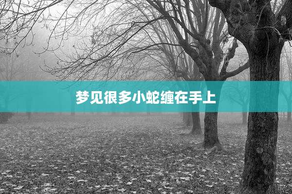 梦见很多小蛇缠在手上