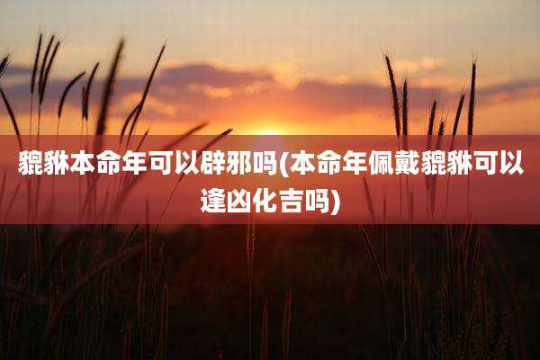 貔貅本命年可以辟邪吗(本命年佩戴貔貅可以逢凶化吉吗)