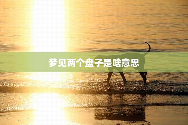 梦见两个盘子是啥意思