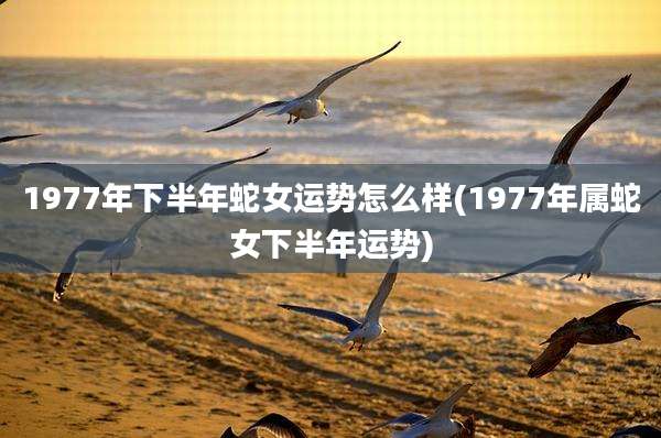 1977年下半年蛇女运势怎么样(1977年属蛇女下半年运势)