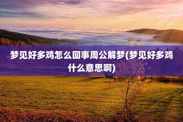 梦见好多鸡怎么回事周公解梦(梦见好多鸡什么意思啊)