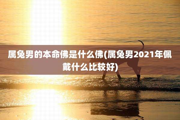 属兔男的本命佛是什么佛(属兔男2021年佩戴什么比较好)