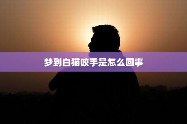 梦到白猫咬手是怎么回事