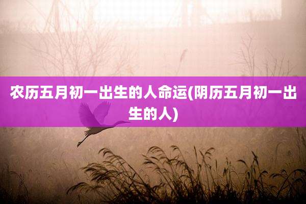农历五月初一出生的人命运(阴历五月初一出生的人)