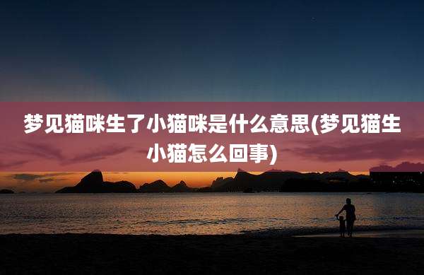 梦见猫咪生了小猫咪是什么意思(梦见猫生小猫怎么回事)