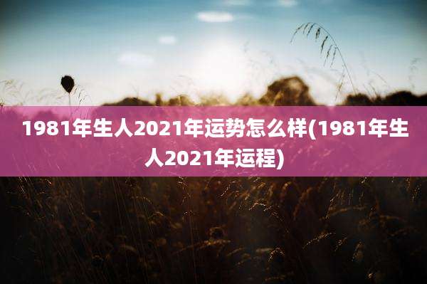 1981年生人2021年运势怎么样(1981年生人2021年运程)
