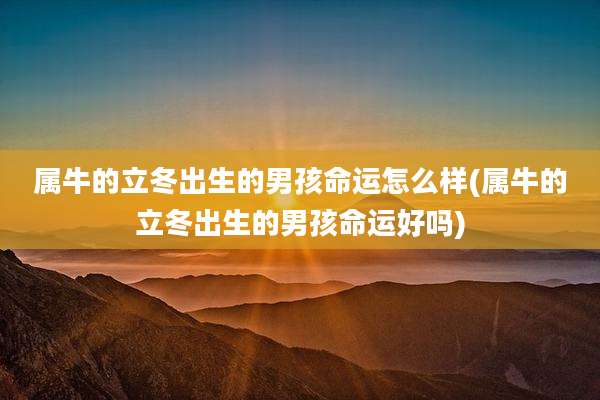 属牛的立冬出生的男孩命运怎么样(属牛的立冬出生的男孩命运好吗)
