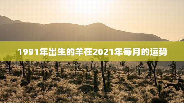 1991年出生的羊在2021年每月的运势