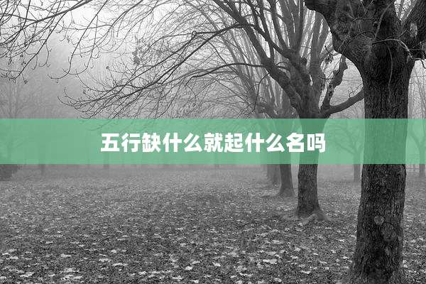 五行缺什么就起什么名吗