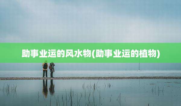 助事业运的风水物(助事业运的植物)