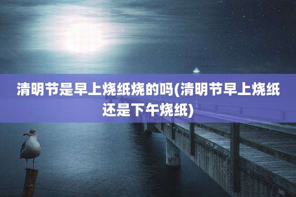清明节是早上烧纸烧的吗(清明节早上烧纸还是下午烧纸)