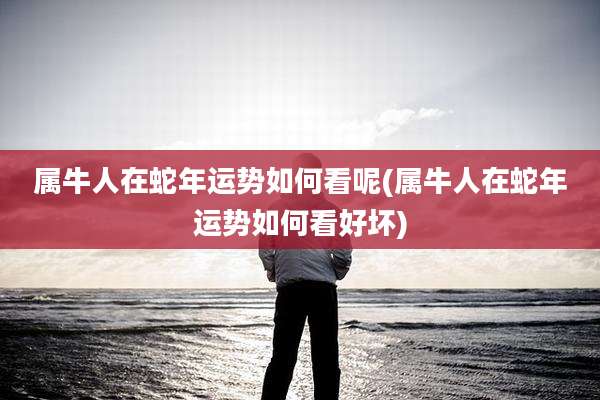 属牛人在蛇年运势如何看呢(属牛人在蛇年运势如何看好坏)