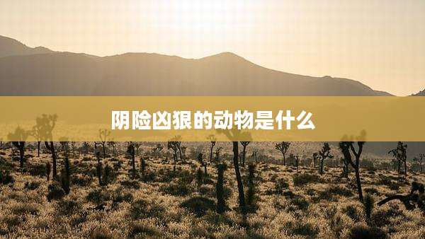 阴险凶狠的动物是什么