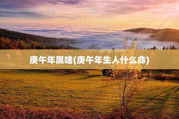庚午年属啥(庚午年生人什么命)