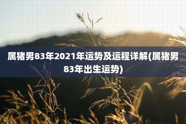 属猪男83年2021年运势及运程详解(属猪男83年出生运势)