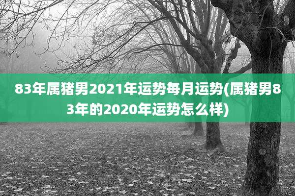 83年属猪男2021年运势每月运势(属猪男83年的2020年运势怎么样)
