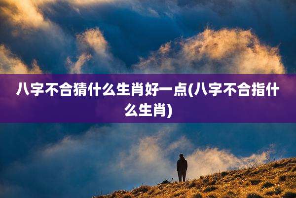 八字不合猜什么生肖好一点(八字不合指什么生肖)