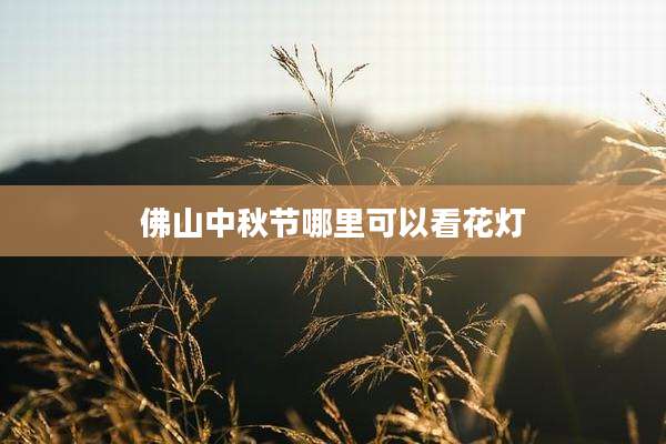 佛山中秋节哪里可以看花灯