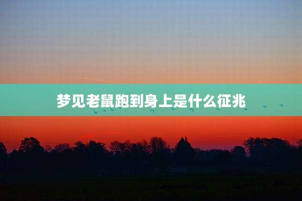 梦见老鼠跑到身上是什么征兆