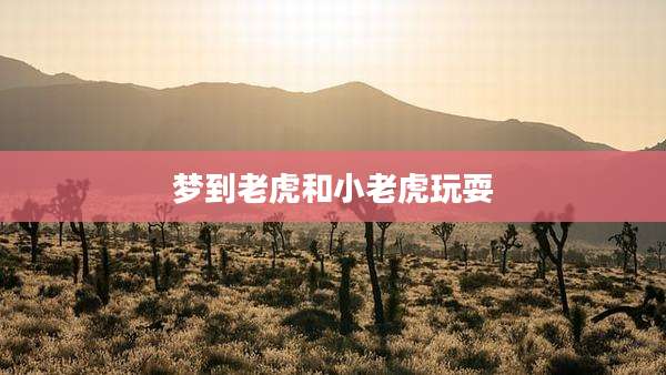 梦到老虎和小老虎玩耍