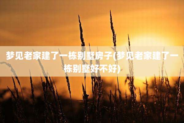 梦见老家建了一栋别墅房子(梦见老家建了一栋别墅好不好)