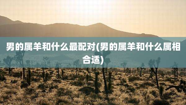 男的属羊和什么最配对(男的属羊和什么属相合适)