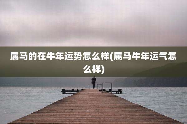 属马的在牛年运势怎么样(属马牛年运气怎么样)