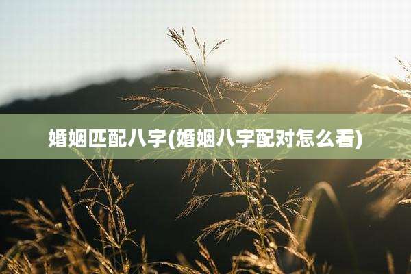 婚姻匹配八字(婚姻八字配对怎么看)
