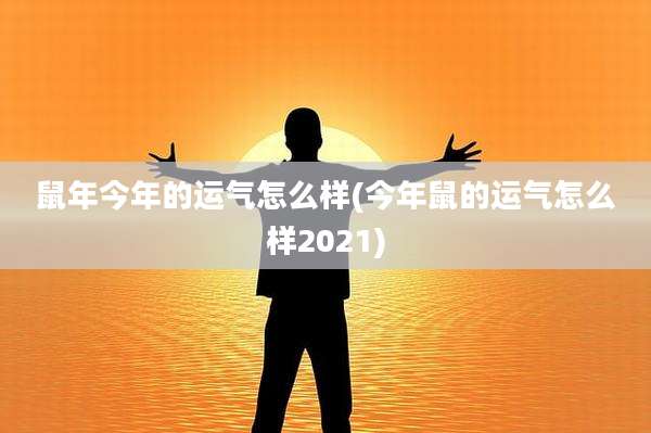 鼠年今年的运气怎么样(今年鼠的运气怎么样2021)