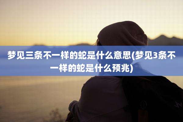 梦见三条不一样的蛇是什么意思(梦见3条不一样的蛇是什么预兆)