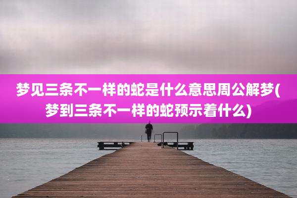 梦见三条不一样的蛇是什么意思周公解梦(梦到三条不一样的蛇预示着什么)