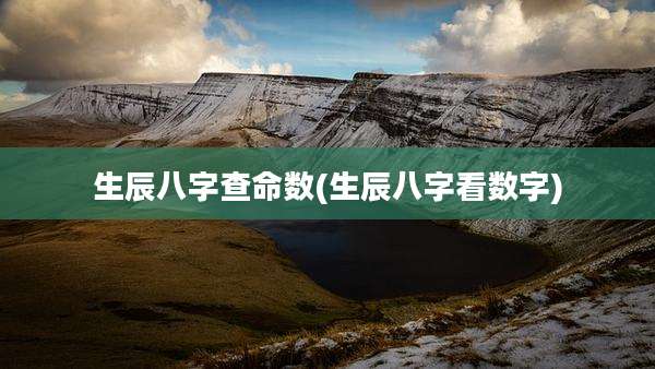 生辰八字查命数(生辰八字看数字)