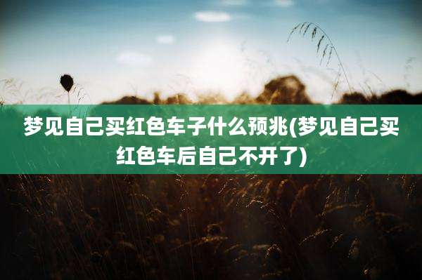梦见自己买红色车子什么预兆(梦见自己买红色车后自己不开了)
