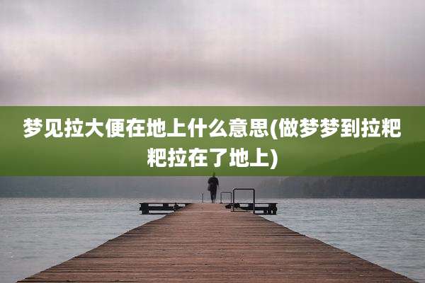 梦见拉大便在地上什么意思(做梦梦到拉粑粑拉在了地上)