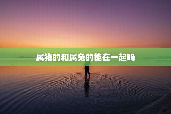 属猪的和属兔的能在一起吗