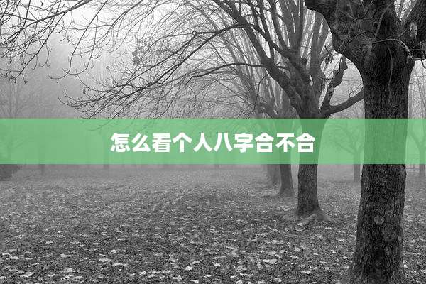 怎么看个人八字合不合