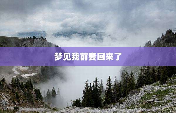 梦见我前妻回来了