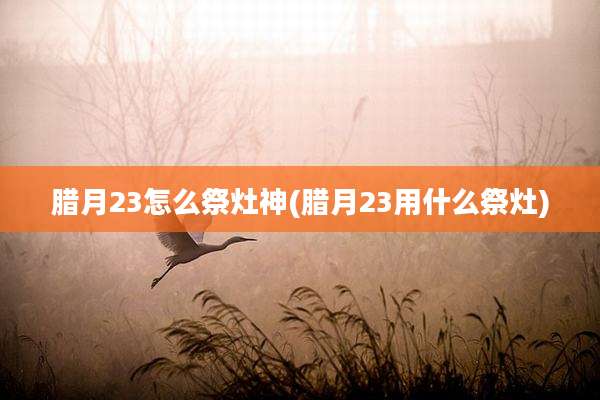 腊月23怎么祭灶神(腊月23用什么祭灶)