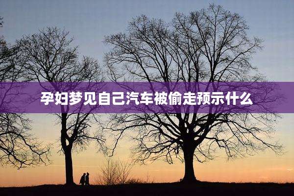 孕妇梦见自己汽车被偷走预示什么