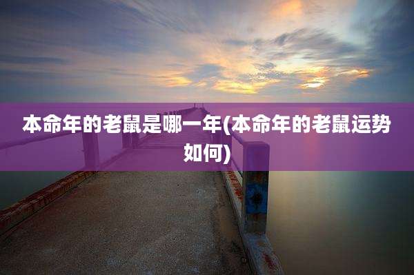 本命年的老鼠是哪一年(本命年的老鼠运势如何)