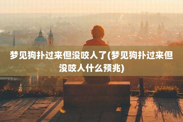 梦见狗扑过来但没咬人了(梦见狗扑过来但没咬人什么预兆)