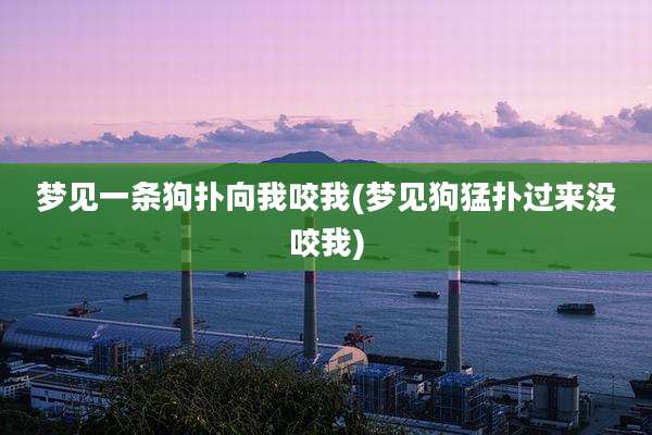 梦见一条狗扑向我咬我(梦见狗猛扑过来没咬我)