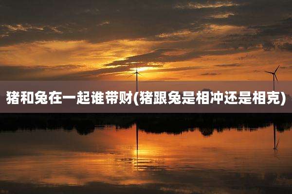 猪和兔在一起谁带财(猪跟兔是相冲还是相克)