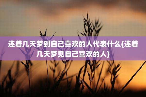 连着几天梦到自己喜欢的人代表什么(连着几天梦见自己喜欢的人)