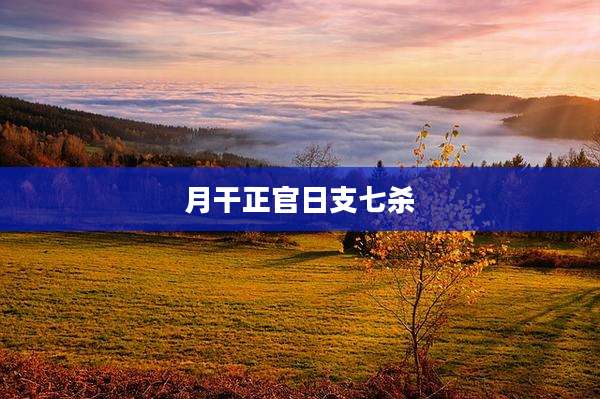 月干正官日支七杀