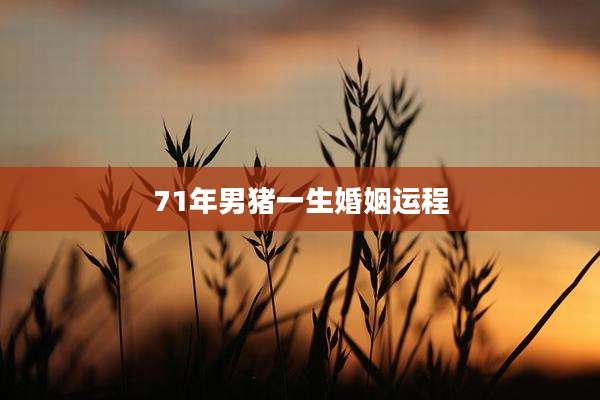71年男猪一生婚姻运程