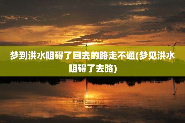 梦到洪水阻碍了回去的路走不通(梦见洪水阻碍了去路)