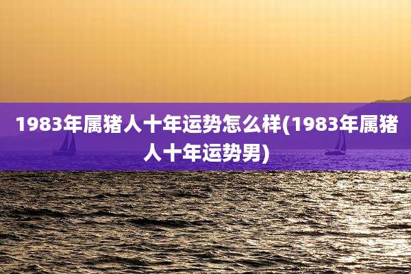 1983年属猪人十年运势怎么样(1983年属猪人十年运势男)