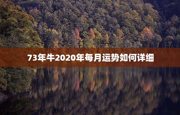 73年牛2020年每月运势如何详细
